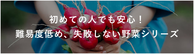 初めての人でも安心！難易度低め、失敗しない野菜シリーズ