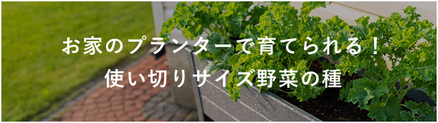 お家のプランターで育てられる！使い切りサイズ野菜の種