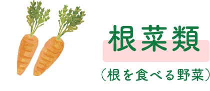 根菜類（根を食べる野菜）