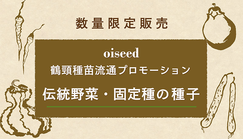 【新商品】伝統野菜・固定種の種子