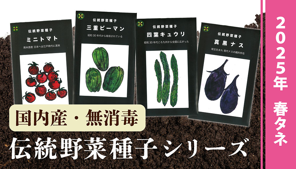 【国内産・無消毒】伝統野菜種子