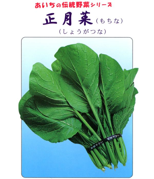 伝統野菜 正月菜（もちなの種）の写真