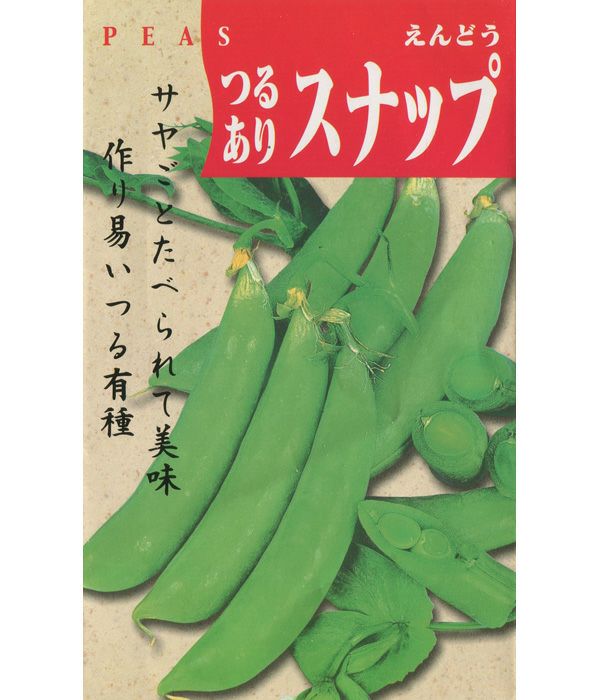 つるありスナップえんどう（豌豆の種）【固定種】の写真