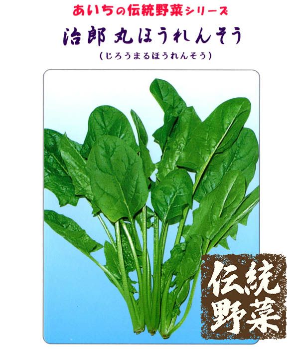 あいちの伝統野菜 治郎丸ほうれんそう（ほうれん草の種）の写真