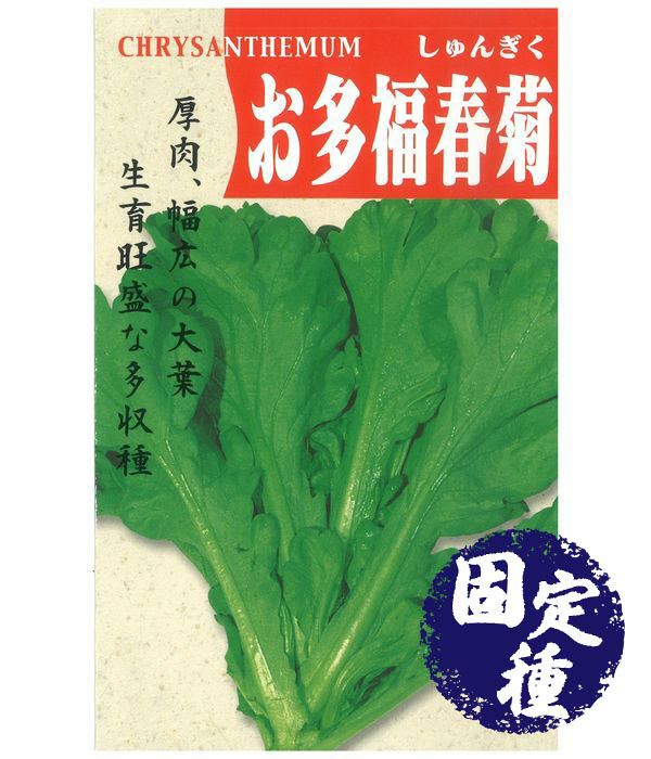 お多福春菊（シュンギクの種）【固定種】|固定種 在来種に強い 野菜の