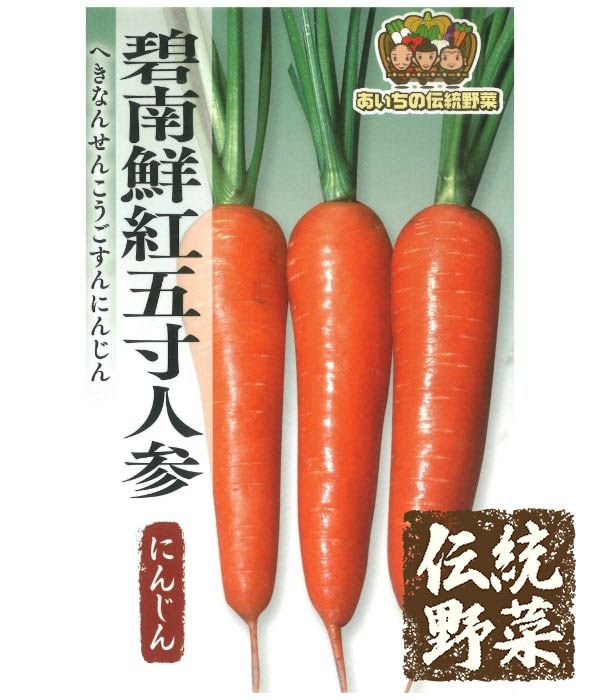 伝統野菜 碧南鮮紅五寸人参（ニンジンの種）|固定種 在来種に強い 野菜のタネ専門通販サイト|アサヒのぐるたね