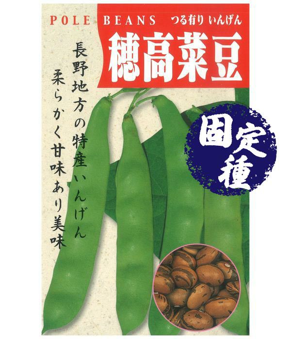 穂高菜豆（つる有りいんげんの種）【固定種】の写真