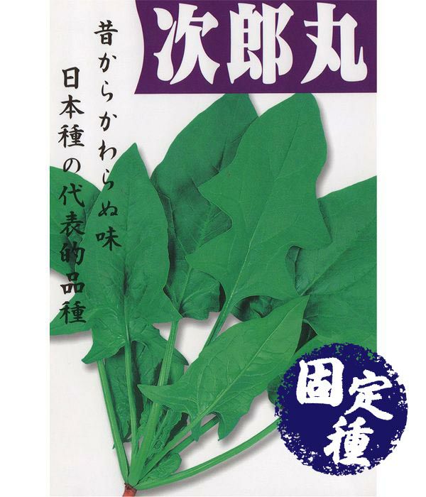次郎丸（ほうれん草の種）【固定種】
の写真