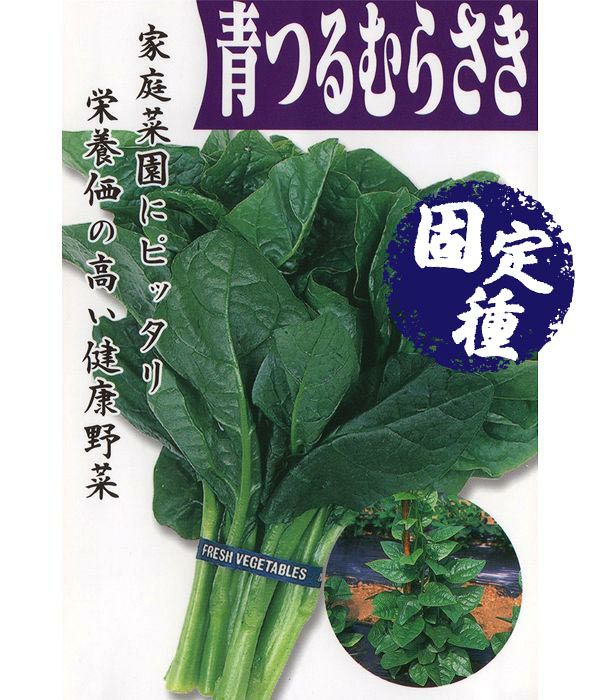 青つるむらさき（葉菜類の種）【固定種】の写真