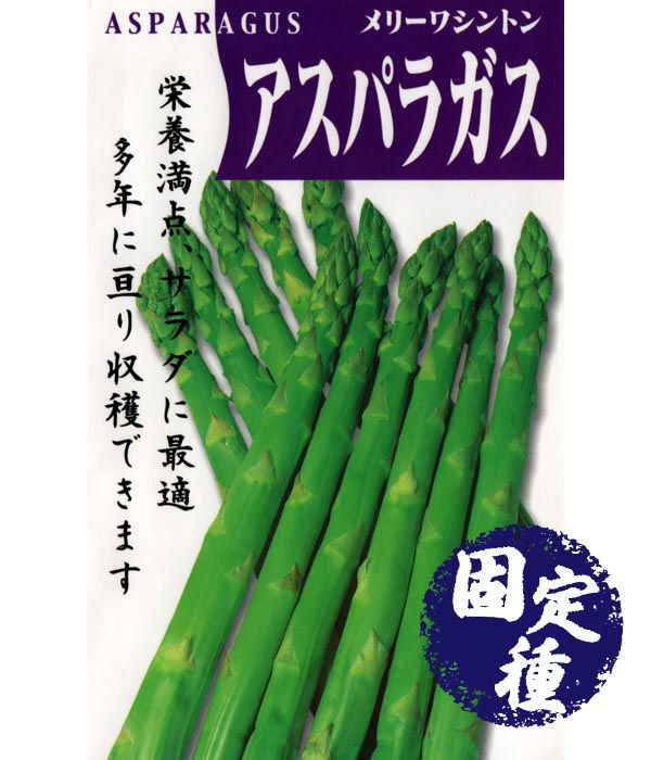 メリーワシントン（アスパラの種）の写真