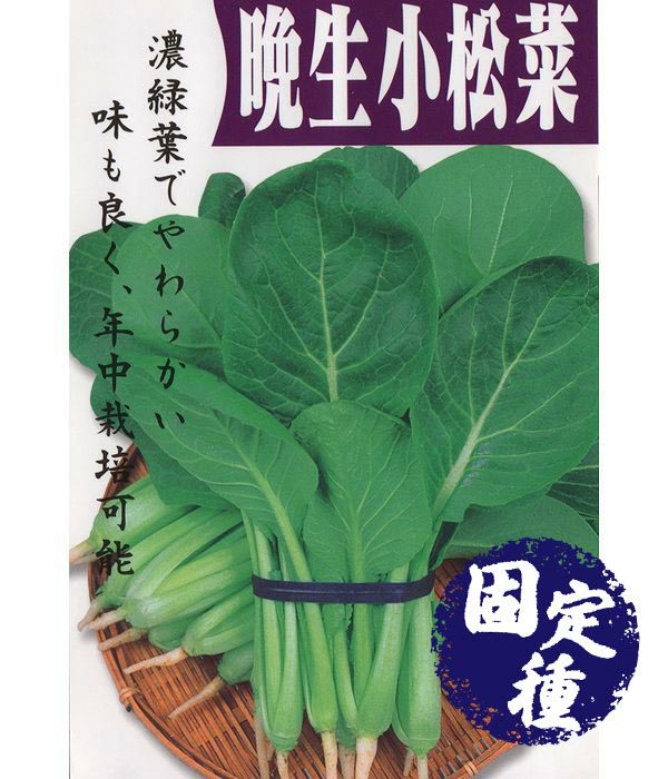 晩生小松菜（コマツナの種）【固定種】の写真