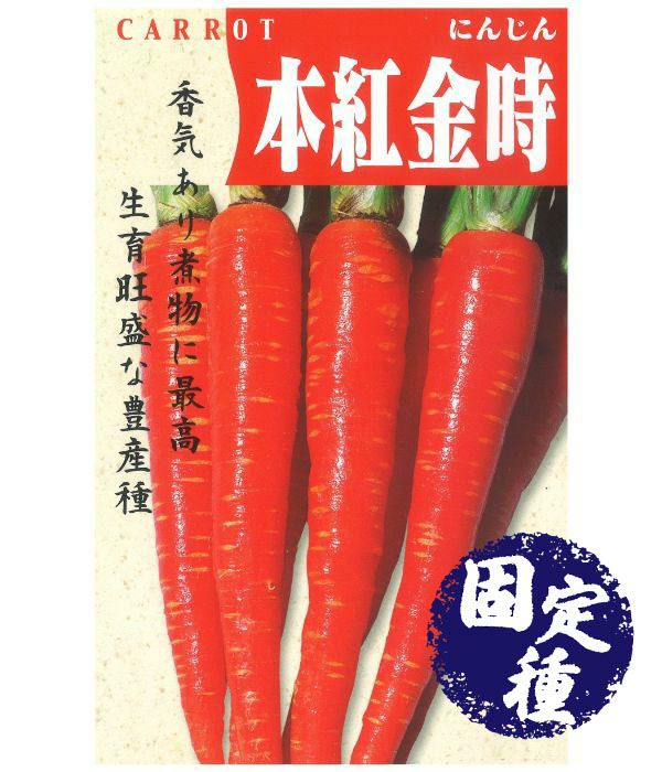 本紅金時人参（にんじんの種）【固定種】の写真