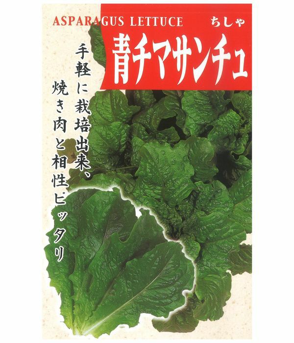 アサヒ育成　青チマサンチュ（リーフレタスの種）の写真