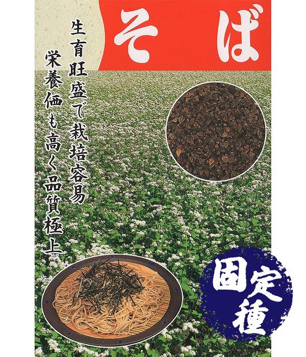 そば（蕎麦の種）【固定種】の写真
