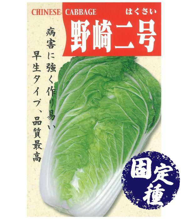 広巾ニラ（ニラの種）【固定種】|固定種 在来種に強い 野菜のタネ専門通販サイト|アサヒのぐるたね