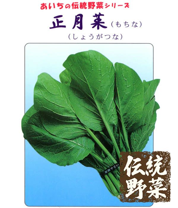 あいちの伝統野菜 正月菜（もちなの種）の写真