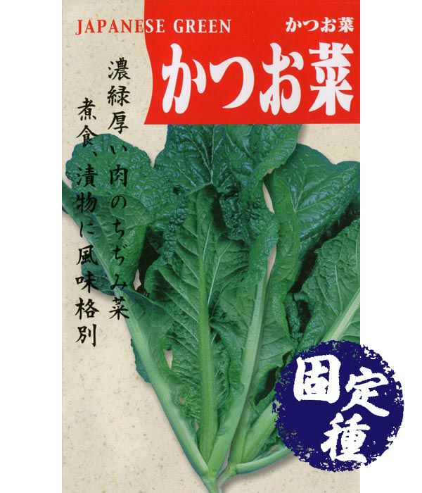 かつお菜(菜類の種）【固定種】の写真