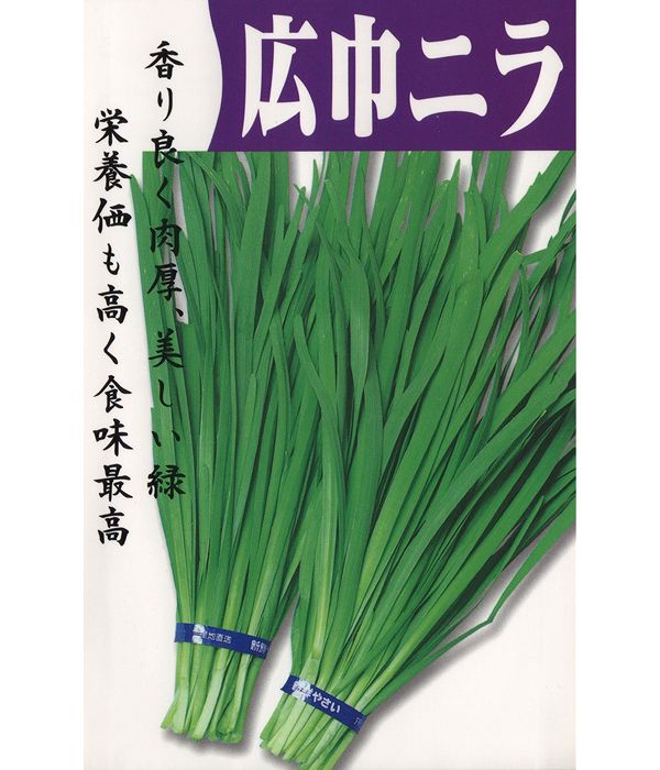 広巾ニラ（ニラの種）【固定種】の写真