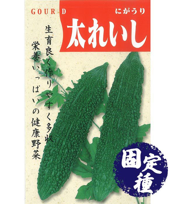 太れいし（ゴーヤの種）【固定種】の写真