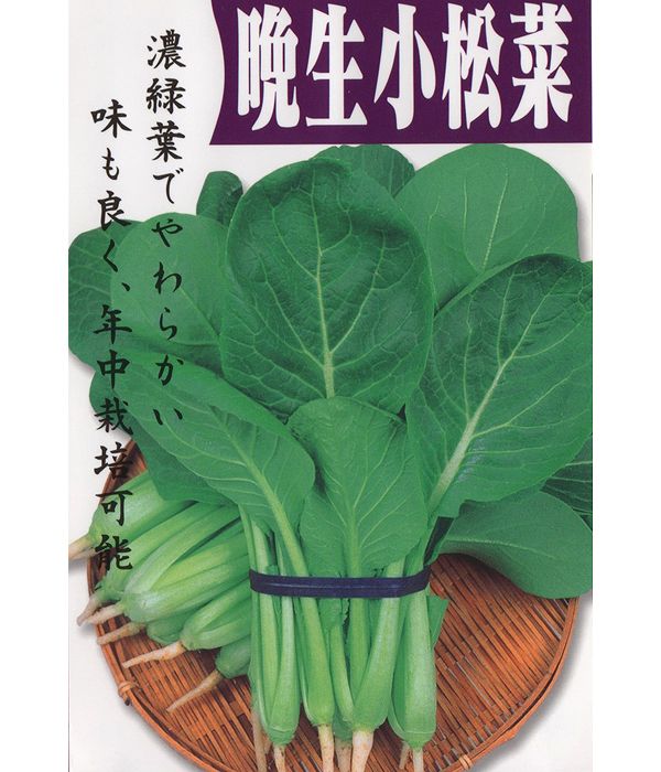 晩生小松菜（コマツナの種）【固定種】の写真