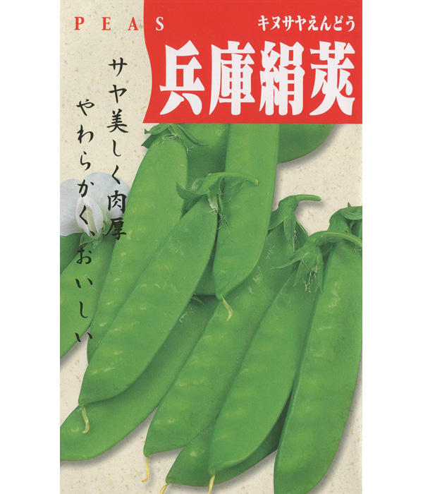 兵庫絹さやえんどう（豌豆の種）【固定種】の写真