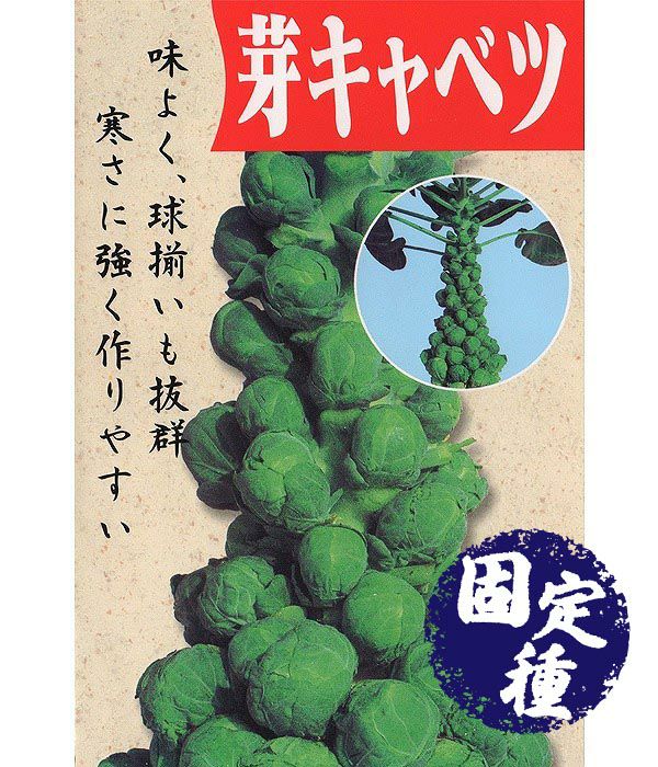 芽キャベツ（キャベツの種）【固定種】