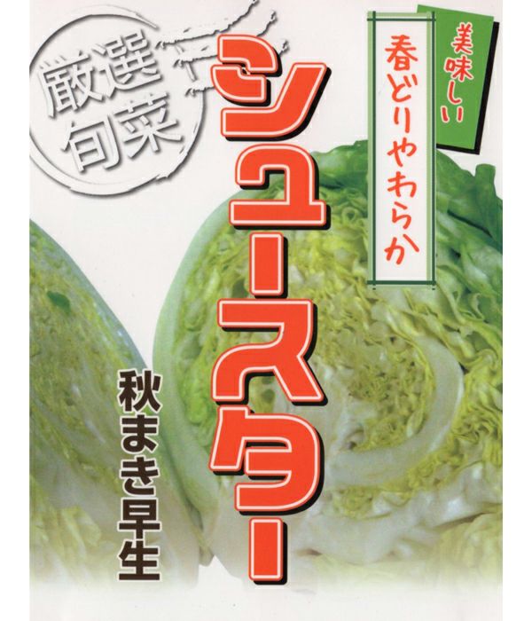 アサヒ交配 シュースター（キャベツの種）|野菜のタネ専門通販サイト|アサヒのぐるたね