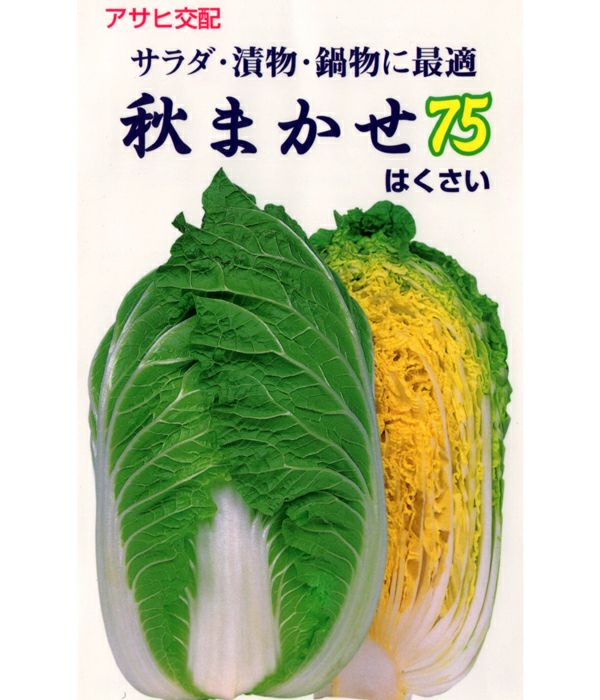 モリ　ハクサイの種　品種結福　訳あり品　11缶 結福78[白菜] - e-種や｜国内最大級の野菜種・花種・苗・農業