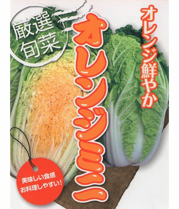 アサヒ交配　オレンジミニ白菜（白菜の種）