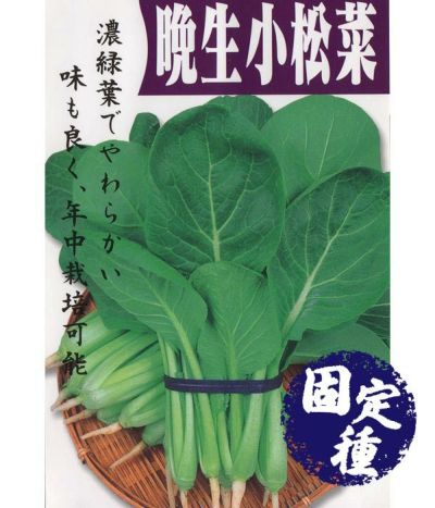 中葉春菊（シュンギクの種）【固定種】|固定種 在来種に強い 野菜のタネ専門通販サイト|アサヒのぐるたね