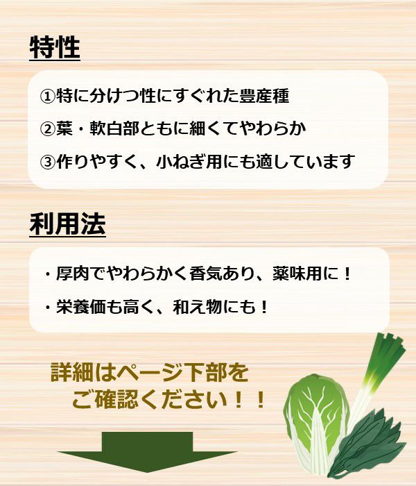 浅黄九条（ネギの種）【固定種】|野菜のタネ専門通販サイト|アサヒのぐるたね