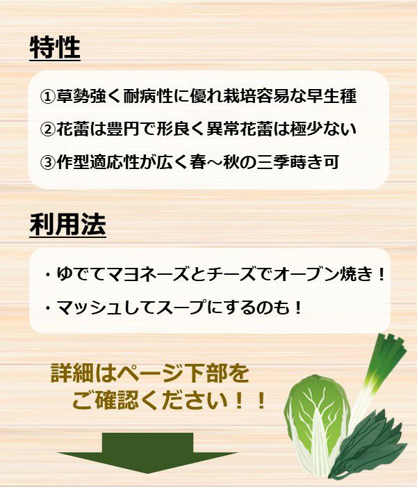 ②マヨネーズ様確認ページ その他 その他 純正オーダー meloebarbieri