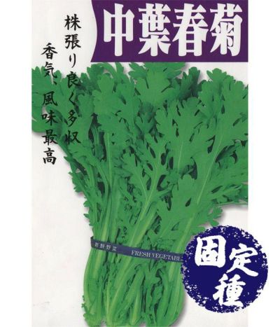 一代交配 カラーピーマン（イエロー）（パプリカの種）|固定種 在来種