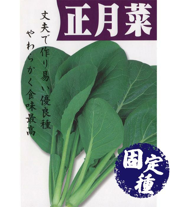 正月菜（もち菜の種）【固定種】