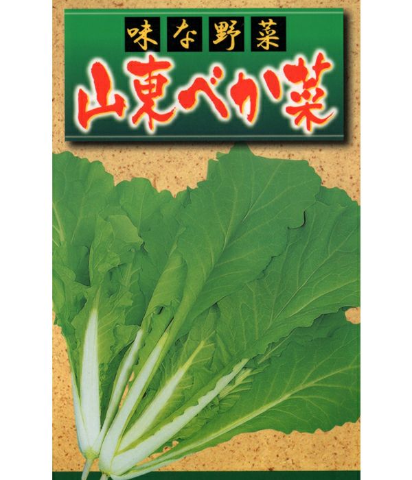 山東べか菜（その他　葉菜類の種）|固定種 在来種に強い 野菜のタネ専門通販サイト|アサヒのぐるたね