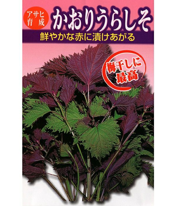 ナッチ様確認用　赤しそ ナッチ様確認用 赤しそ 【楽天市場】赤しそ 業務の通販