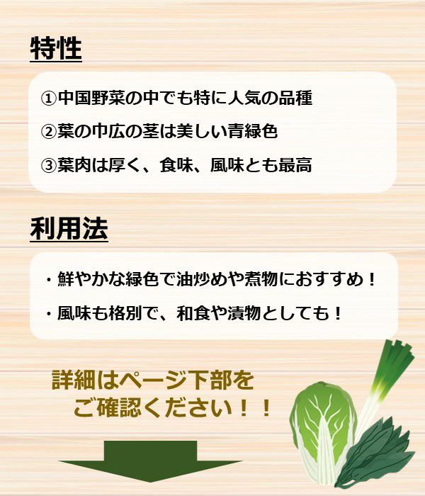 チンゲンサイ（チンゲン菜の種）【固定種】|野菜のタネ専門通販サイト|アサヒのぐるたね