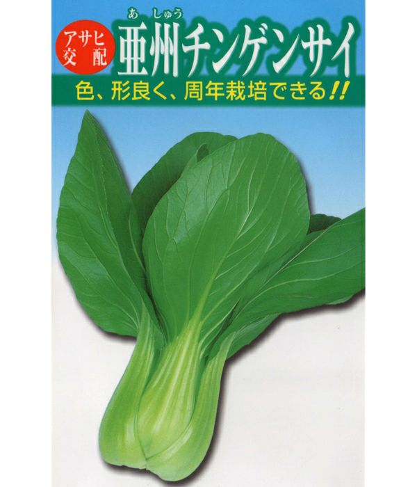 アサヒ交配　亜州チンゲンサイ（チンゲン菜の種）|固定種 在来種に強い 野菜のタネ専門通販サイト|アサヒのぐるたね