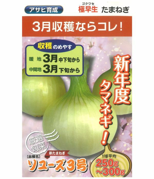 アサヒ育成　ソユーズ３号（たまねぎの種）
