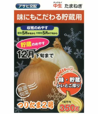 タマネギ|固定種 在来種に強い 野菜のタネ専門通販サイト|アサヒのぐるたね