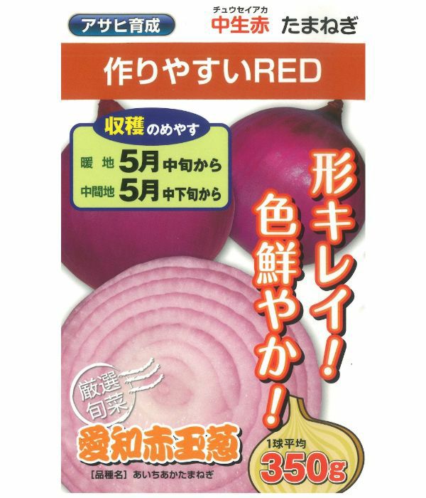 ｱｻﾋ育成 愛知赤玉葱 たまねぎの種 野菜のタネ専門通販サイト アサヒのぐるたね