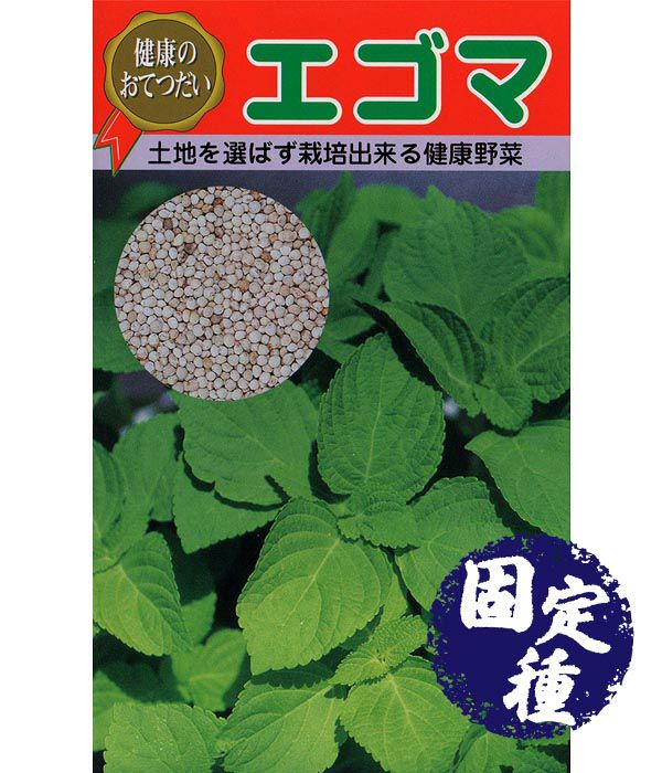 えごま（その他 葉菜類の種）【固定種】|固定種 在来種に強い