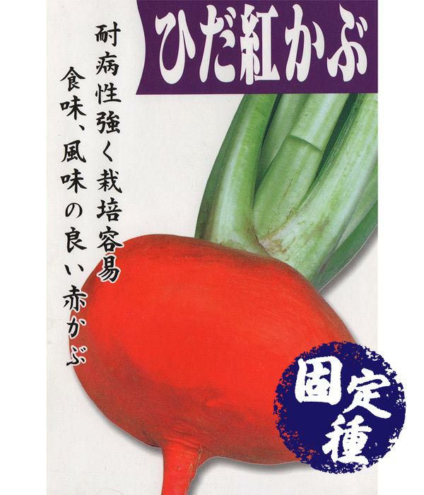 飛騨紅蕪 かぶの種 固定種 野菜のタネ専門通販サイト アサヒのぐるたね
