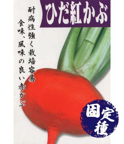 木曽紫蕪（かぶの種）【固定種】|固定種 在来種に強い 野菜のタネ専門通販サイト|アサヒのぐるたね