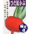 飛騨紅蕪（かぶの種）【固定種】|固定種 在来種に強い 野菜の