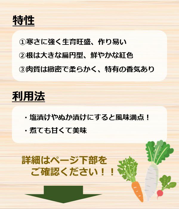 飛騨紅蕪（かぶの種）【固定種】|野菜のタネ専門通販サイト|アサヒのぐるたね