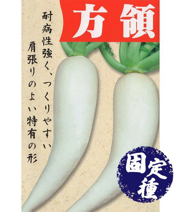 方領（大根の種）【固定種】|固定種 在来種に強い 野菜のタネ専門通販サイト|アサヒのぐるたね