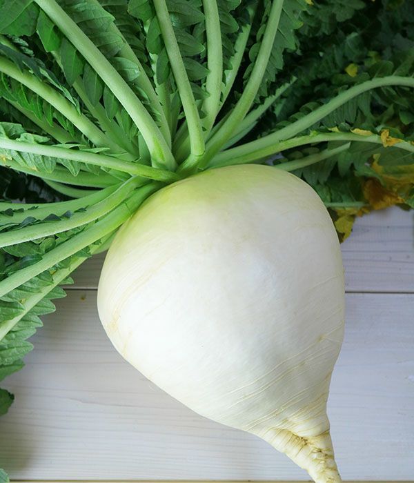 だいこんページ 8201-00000056-1-2.png