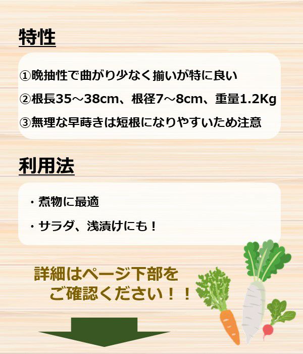 アサヒ交配 YR三川大根（だいこんの種）|固定種 在来種に強い 野菜の