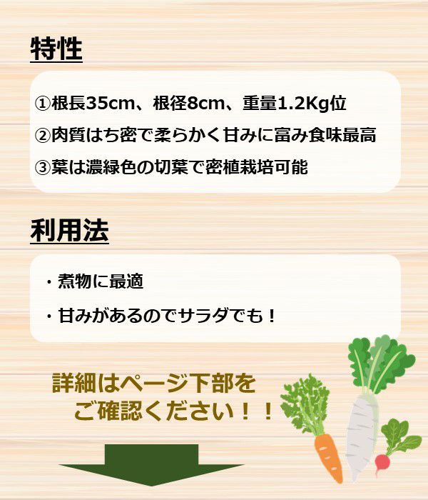 アサヒ交配 曽水大根（だいこんの種）|野菜のタネ専門通販サイト|アサヒのぐるたね